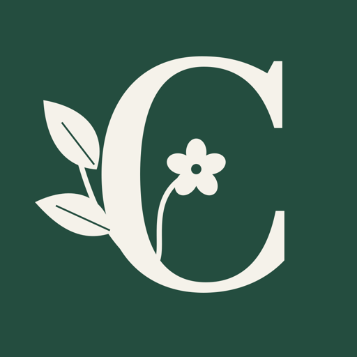 Curio Studio logo