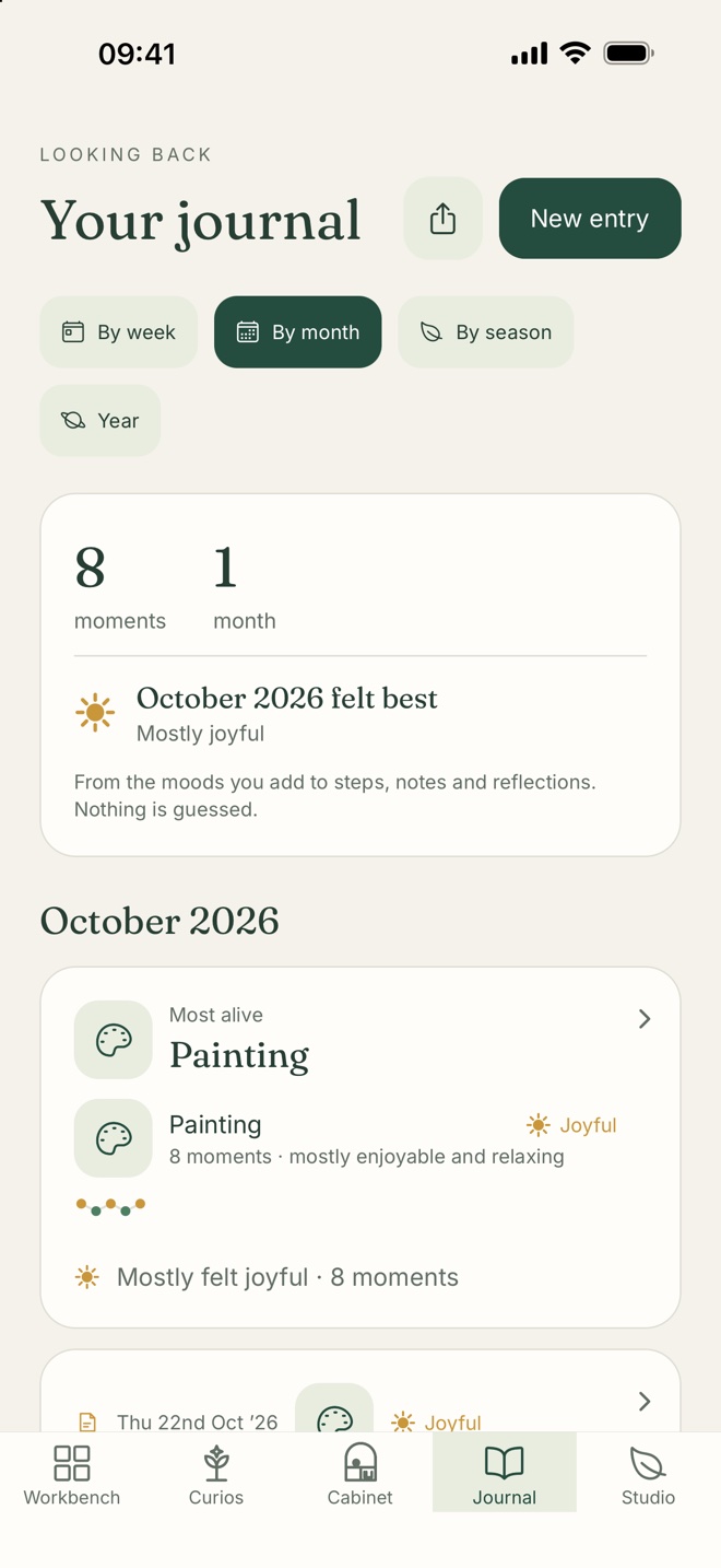 Curio Studio journal